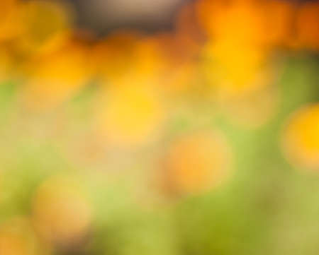 Abstract nature background, selective focusの写真素材
