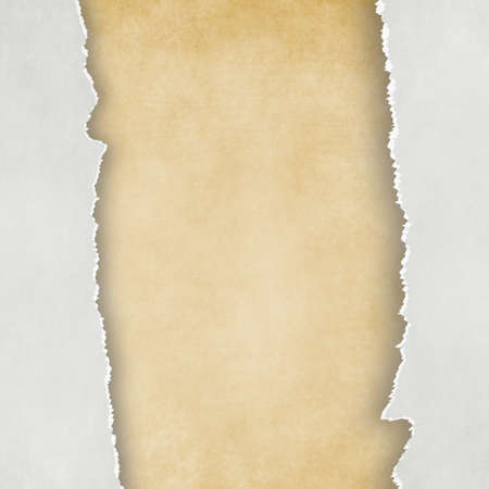 Torn paper background
の写真素材