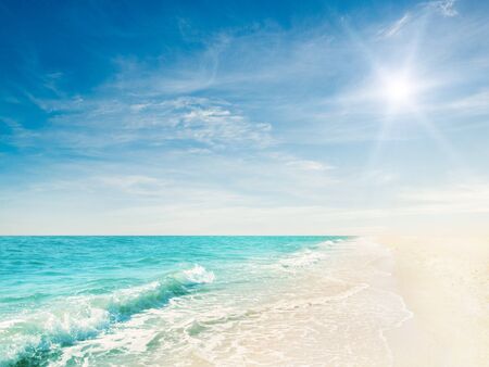 beach and tropical seaの写真素材