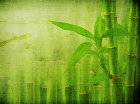 grunge bamboo backgroundの写真素材