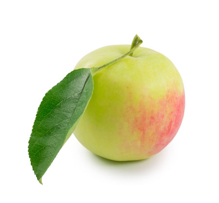 apple isolated on white backgroundの写真素材