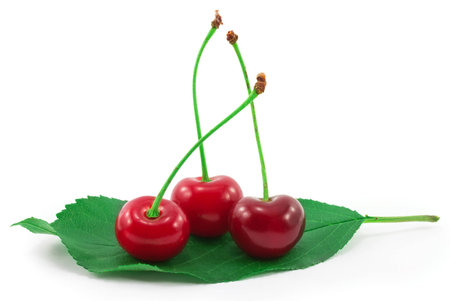 sweet cherries isolated on a white backgroundの写真素材