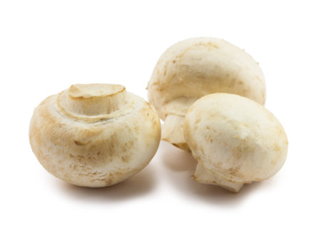 mushrooms isolated on white backgroundの写真素材