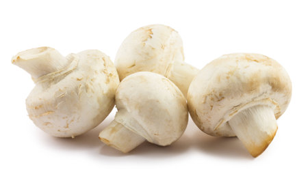 mushrooms isolated on white backgroundの写真素材