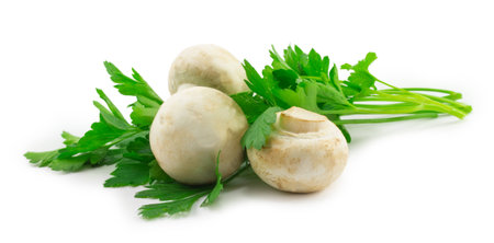 mushrooms and parsley isolated on a white backgroundの写真素材