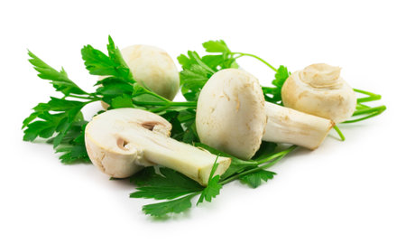 mushrooms and parsley isolated on a white backgroundの写真素材