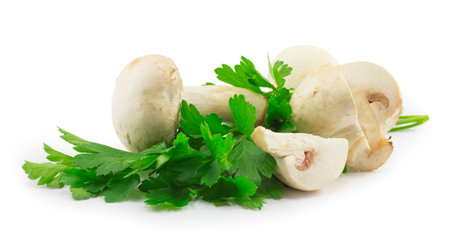 mushrooms and parsley isolated on a white backgroundの写真素材