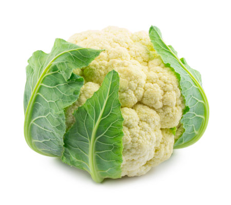 cauliflower isolated on white backgroundの写真素材