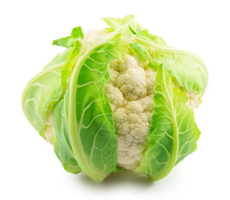 cauliflower isolated on white backgroundの写真素材