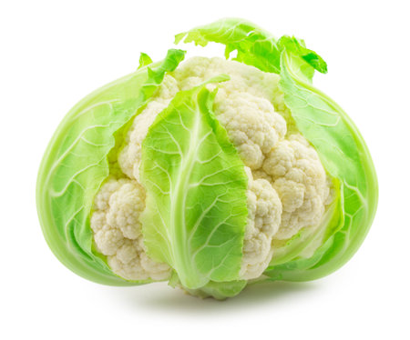cauliflower isolated on white backgroundの写真素材