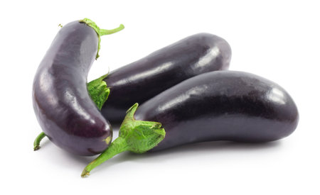 eggplant isolated on white backgroundの写真素材
