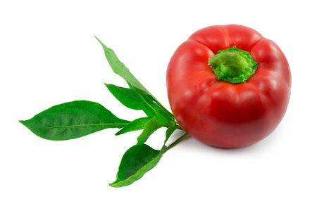 sweet pepper isolated on a white backgroundの写真素材