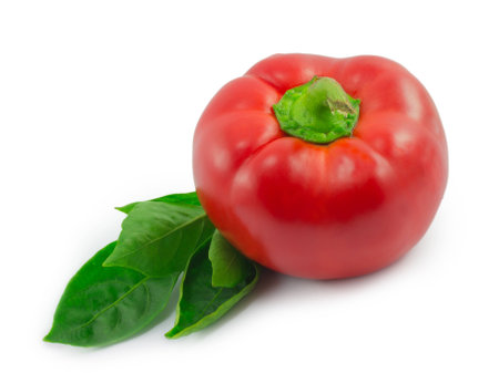 sweet pepper isolated on a white backgroundの写真素材