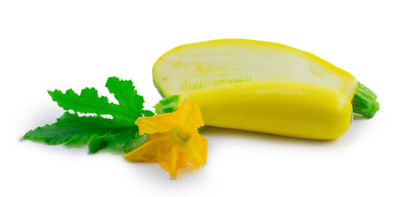zucchini isolated on a white backgroundの写真素材