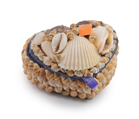 A box of  seashells isolated on a white backgroundの写真素材