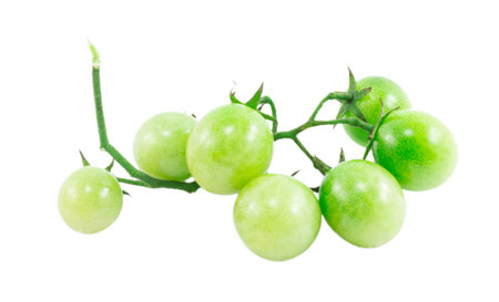 cherry tomatoes isolated on a white backgroundの写真素材