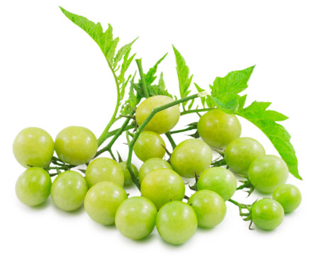 cherry tomatoes isolated on a white backgroundの写真素材