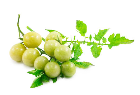 cherry tomatoes isolated on a white backgroundの写真素材