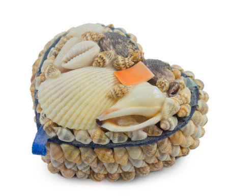 A box of  seashells isolated on a white backgroundの写真素材