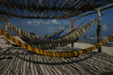 Hammock on the beachの写真素材