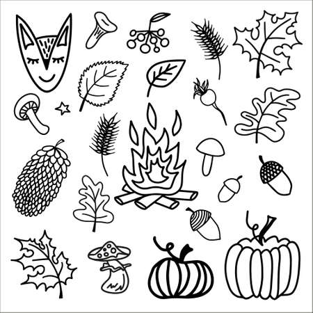 Cute doodle autumn set with acorns, leaves, mushrooms, cute animals, pumpkins and other gifts of autumn. Hand drawn vector illustration for greeting cards, posters and seasonal design.のイラスト素材