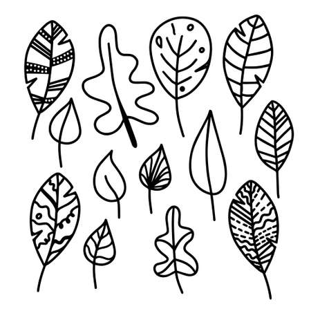 Vector hand drawn set of autumn leaves isolated on white background icon. Funny doodle fall leaves for seasonal design, textile, decoration for greeting card. Doodle coloring page for adult and kids.のイラスト素材
