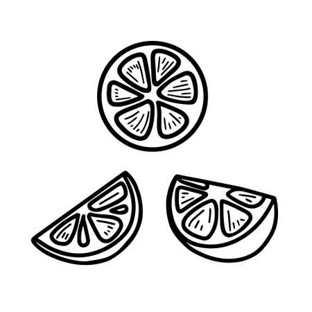Vector hand drawn set of lemon isolated on white background icon. Funny doodle slices of lemon for seasonal design, textile, decoration caffe or greeting card. Retro isolated sketches in vintage styleのイラスト素材