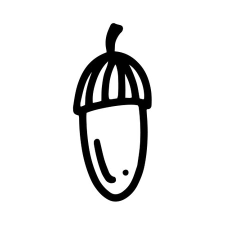 Vector acorn, oak fruit isolated on white background icon. Illustration for seasonal design, textile, decoration kids playroom or greeting card, autumn and halloween. Hand drawn prints and doodle.のイラスト素材