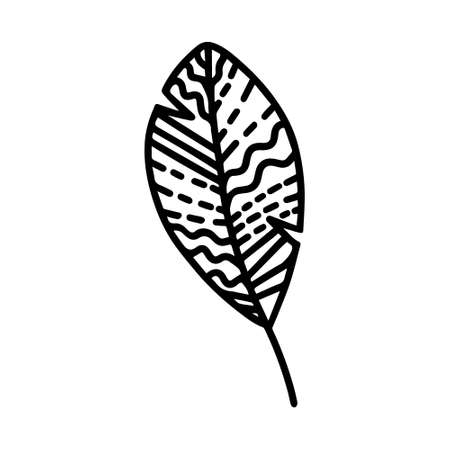 Vector hand drawn autumn leaf isolated on white background icon. Cute doodle fall leaf for seasonal design, textile, decoration for greeting card. Doodle coloring page for adult and kids. Ink line artのイラスト素材