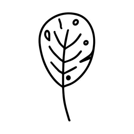Vector hand drawn autumn leaf isolated on white background icon. Cute doodle fall leaf for seasonal design, textile, decoration for greeting card. Doodle coloring page for adult and kids. Ink line artのイラスト素材