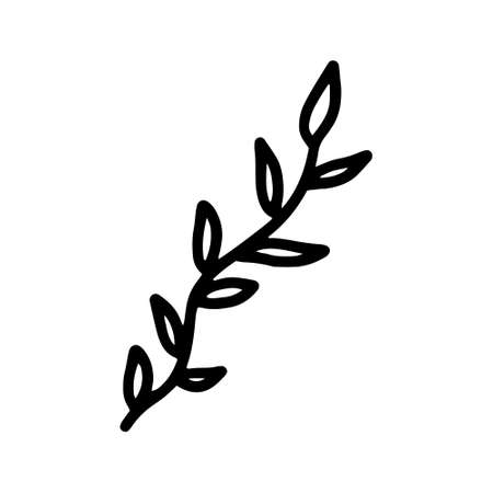 Vector hand drawn branches and leaves of tropical plants in doodle style isolated on white background. Black outline coloring page for adult and kids. Synadenium, monstera, palm leaf. Botanical art.のイラスト素材
