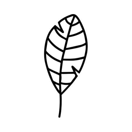 Vector hand drawn autumn leaf isolated on white background icon. Cute doodle fall leaf for seasonal design, textile, decoration for greeting card. Doodle coloring page for adult and kids. Ink line artのイラスト素材