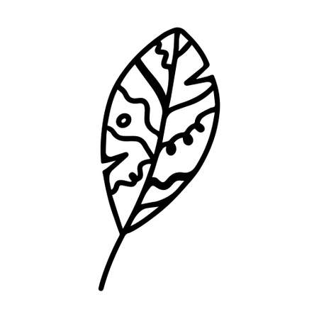 Vector hand drawn autumn leaf isolated on white background icon. Cute doodle fall leaf for seasonal design, textile, decoration for greeting card. Doodle coloring page for adult and kids. Ink line artのイラスト素材