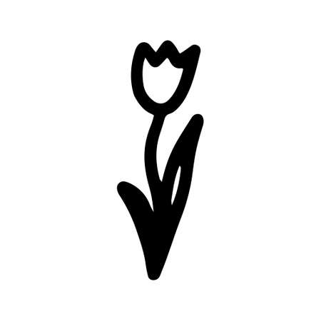 Floral vector hand drawn flower. A tulip in doodle style isolated on white background. Adult, kids flower coloring illustration for seasonal design, textile, decoration kids playroom or greeting card.のイラスト素材