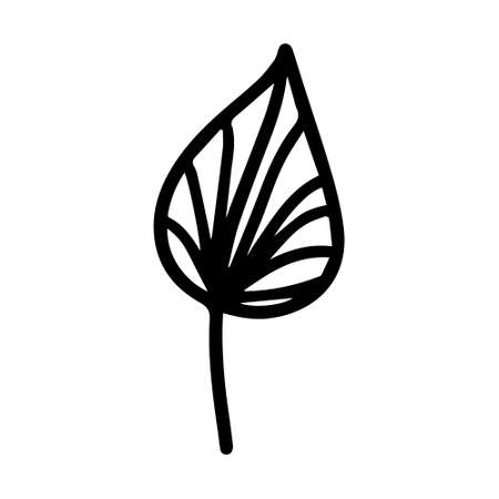 Vector hand drawn autumn leaf isolated on white background icon. Cute doodle fall leaf for seasonal design, textile, decoration for greeting card. Doodle coloring page for adult and kids. Ink line artのイラスト素材