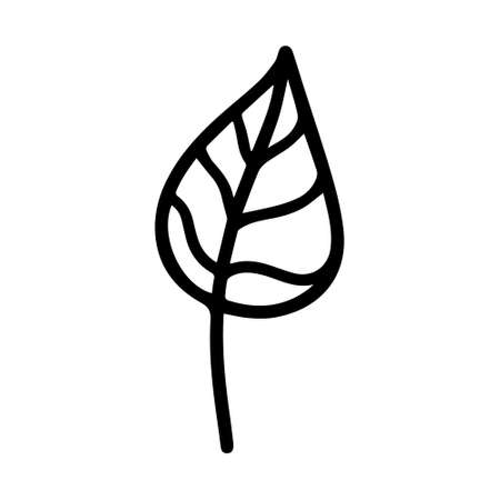 Vector hand drawn autumn leaf isolated on white background icon. Cute doodle fall leaf for seasonal design, textile, decoration for greeting card. Doodle coloring page for adult and kids. Ink line artのイラスト素材