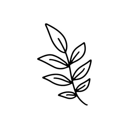 Vector hand drawn autumn leaf isolated on white background icon. Cute doodle fall leaf for seasonal design, textile, decoration for greeting card. Doodle coloring page for adult and kids. Ink line artのイラスト素材
