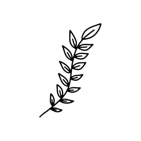Vector hand drawn autumn leaf isolated on white background icon. Cute doodle fall leaf for seasonal design, textile, decoration for greeting card. Doodle coloring page for adult and kids. Ink line artのイラスト素材