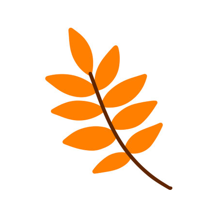 Vector hand drawn Autumn leaf isolated on white background. Decorative doodle orange leaf. Cartoon scribble leaf icon for wedding design, wrapping, textiles, clothing page, ornate and greeting cardsのイラスト素材