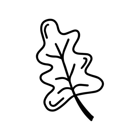 Cute doodle autumn vector oak leaf isolated on white on white background. Hand drawn vector illustration for coloring page and art books for adults and kids.のイラスト素材