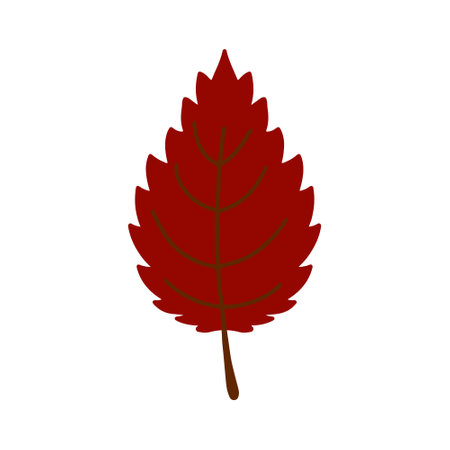 Vector hand drawn Autumn leaf isolated on white background. Decorative doodle red leaf. Cartoon scribble leaf icon for wedding design, wrapping, textiles, clothing page, ornate and greeting cardsのイラスト素材