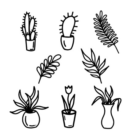 Vector hand drawn flowers in pots set isolated on white background. Decorative doodle flower elements. Leaves and flowers in line art style for minimalist design. Cactus, tulip, fern, monsteraのイラスト素材