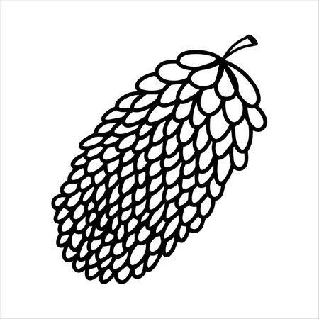 Cute doodle autumn pine cone isolated on white background. Hand drawn vector illustration for greeting cards, posters and seasonal design. Adult antistress coloring page black line illustration.のイラスト素材