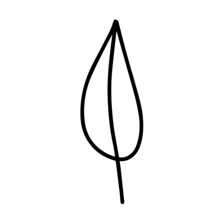 Vector hand drawn autumn leaf isolated on white background icon. Cute doodle fall leaf for seasonal design, textile, decoration for greeting card. Doodle coloring page for adult and kids. Ink line artのイラスト素材