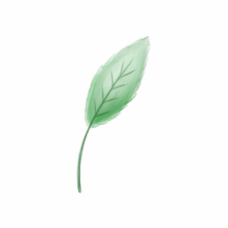 Hand drawn designer element of green forest fern, tropical green eucalyptus greenery art foliage natural leaves herbs in watercolor style. Decorative beauty elegant leaf for wedding designの写真素材