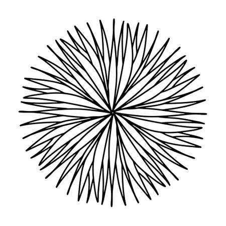 Floral, hand drawn aster mandala flowers in doodle style isolated on white background. Funny and cute coloring for seasonal design, textile, decoration kids playroom or greeting card. Chrysanthemum.のイラスト素材