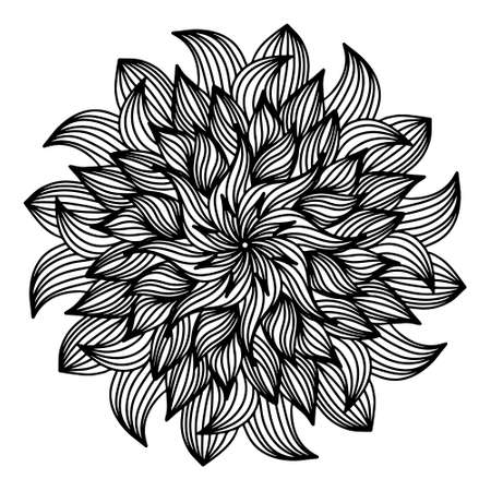 Floral, hand drawn aster mandala flowers in doodle style isolated on white background. Funny and cute coloring for seasonal design, textile, decoration kids playroom or greeting card. Chrysanthemum.のイラスト素材
