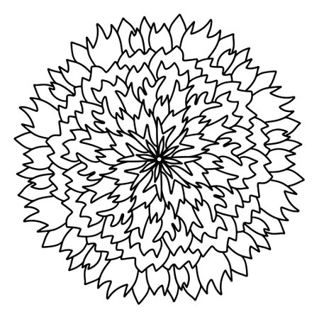 Floral, hand drawn aster mandala flowers in doodle style isolated on white background. Funny and cute coloring for seasonal design, textile, decoration kids playroom or greeting card. Chrysanthemum.のイラスト素材