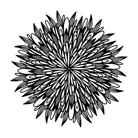 Floral, hand drawn aster mandala flowers in doodle style isolated on white background. Funny and cute coloring for seasonal design, textile, decoration kids playroom or greeting card. Chrysanthemum.のイラスト素材