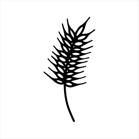 Single vector element, hand drawn wheat for autumn decoration. Doodle vector illustration. Spikelet of wheat isolated on white background. Hand drawn for greeting cards, posters and seasonal design.のイラスト素材